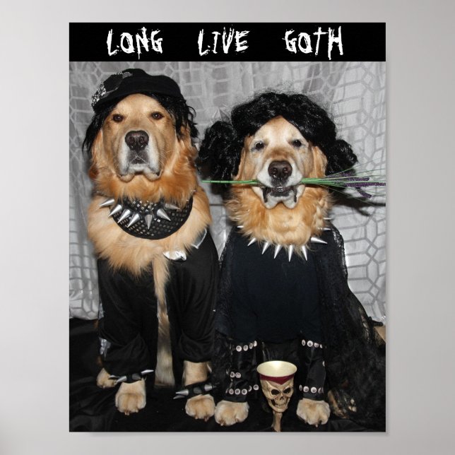 Póster Estilo de Gótico de Golden Retriever (Frente)