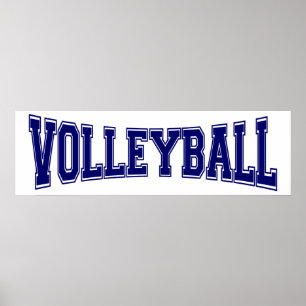 Póster Estilo de la Universidad de Voleibol