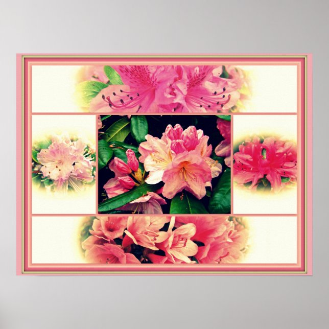 Póster Estilo de las Azaleas de los años 50 (Frente)