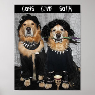 Póster Estilo del gótico del golden retriever