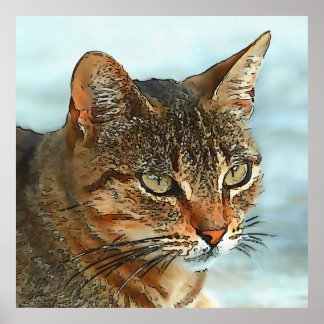 Póster Estilo Personalizado artístico Tabby Cat RB
