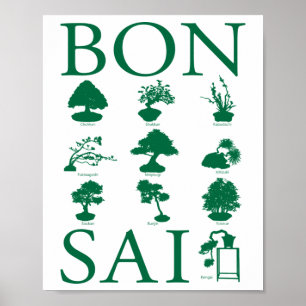 Póster Estilos básicos del árbol Bonsai