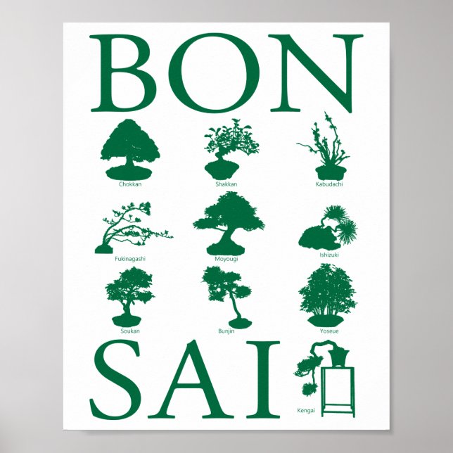 Póster Estilos básicos del árbol Bonsai (Frente)