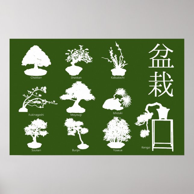 Póster Estilos básicos del árbol Bonsai 10 (Frente)