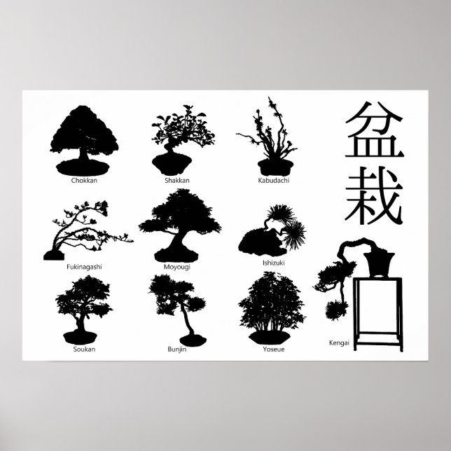 Póster Estilos básicos del árbol Bonsai 10 (Frente)
