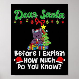 Póster Estimado Papá Noel Antes De Explicar Cuánto Sabes