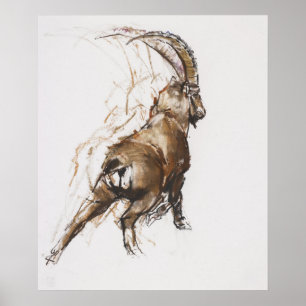 Póster Estiramiento de la pierna