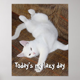 Póster Estirando el gato - poster