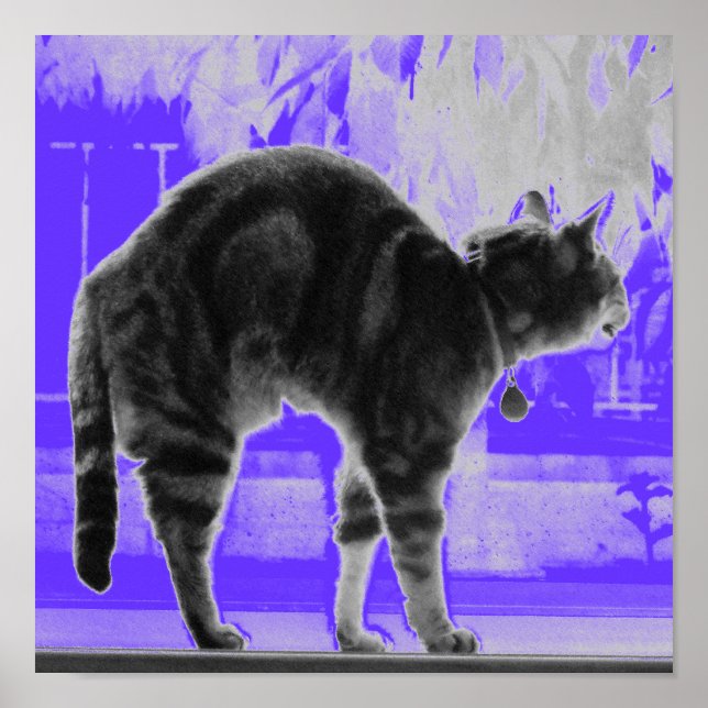 Póster Estirando Índigo B+W (Frente)