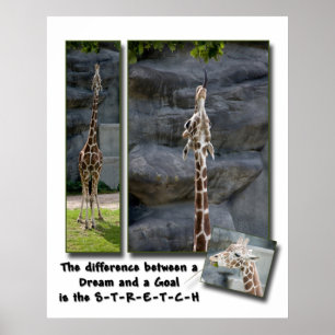 Póster Estirar tu Poster