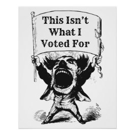 Póster Esto no es por lo que voté