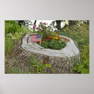 Póster Estopa patriótica