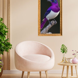 Póster Estornino de dorso violeta
