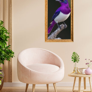 Póster Estornino de dorso violeta