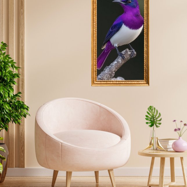 Póster Estornino de dorso violeta (Subido por el creador)