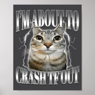 Póster Estoy a punto de estrellarme Gato divertido mirand