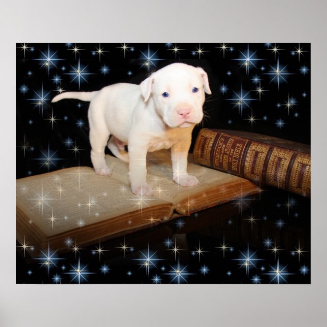 Póster Estoy aprendiendo a leer la Biblia (Frente)