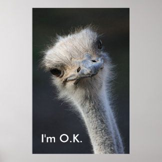 Póster Estoy bien.