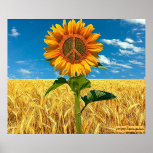 Póster Estoy con el Poster de Ucrania