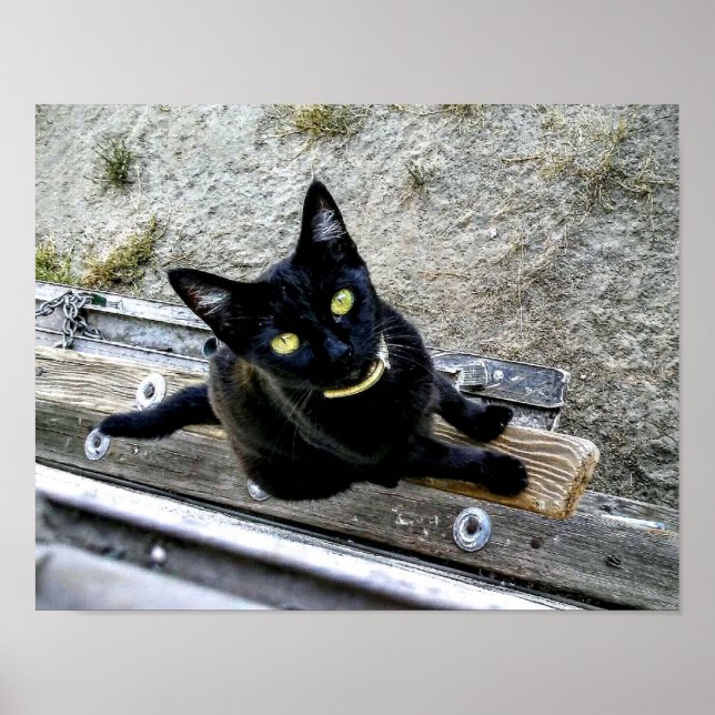 Póster Estoy esperando (Frente)