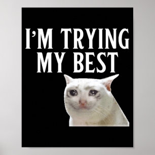 Póster Estoy Haciendo Lo Mejor Meme de Gato Llorando Dive
