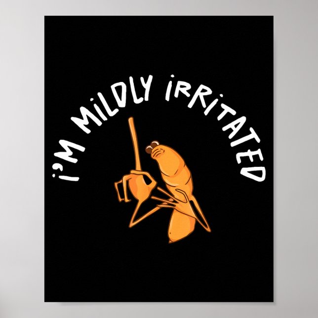 Póster Estoy Levemente Irritado Marcus El Gusano Divertid (Frente)