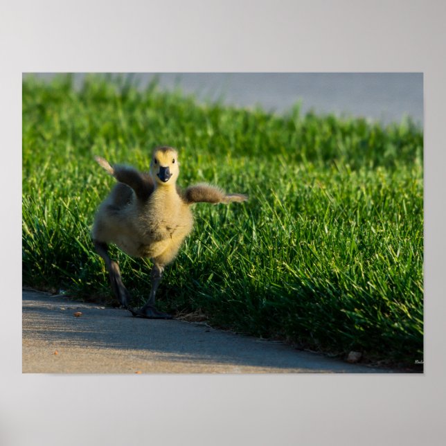 Póster Estoy llegando papá (Frente)