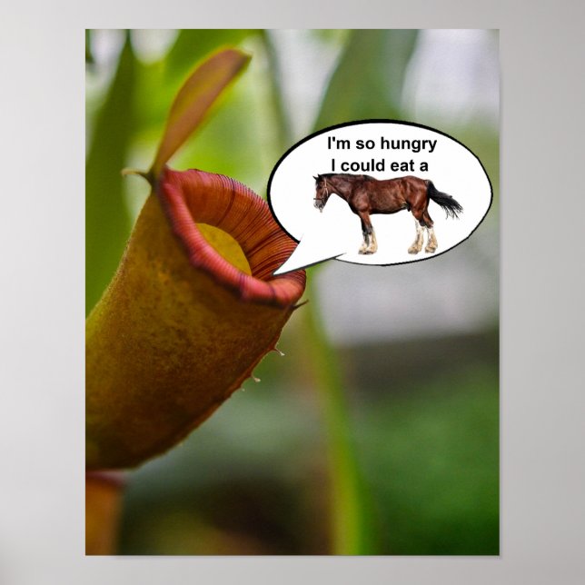 Póster Estoy tan hambriento que podría comerme un caballo (Frente)