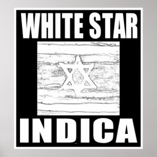 PÓSTER ESTRELLA BLANCA INDICA