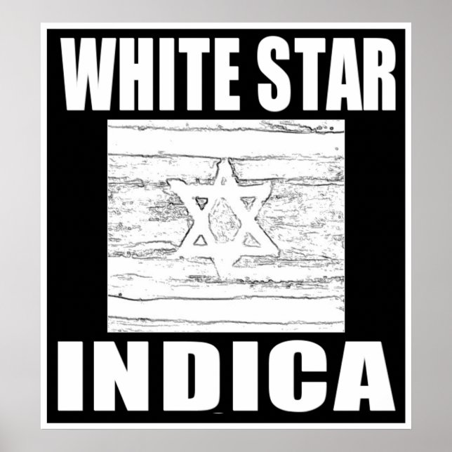 PÓSTER ESTRELLA BLANCA INDICA (Frente)