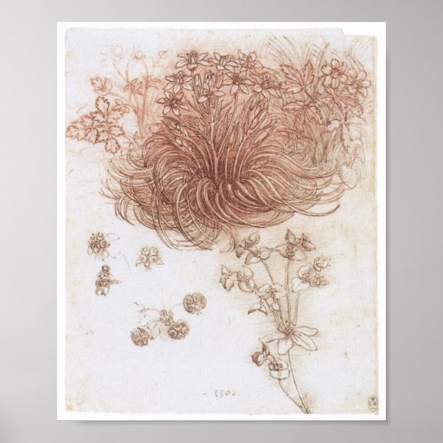 Póster Estrella de Belén y otras plantas, Da Vinci (Frente)