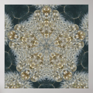 Póster Estrella de Dandelion, noviembre de 2012