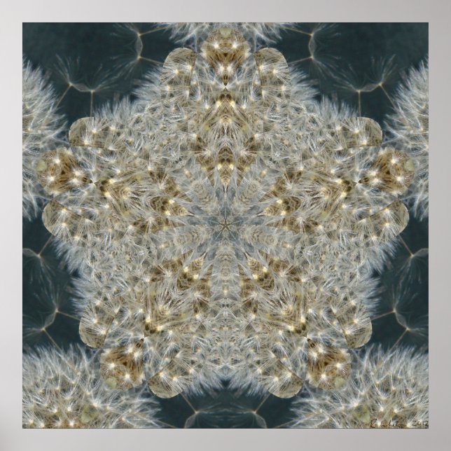 Póster Estrella de Dandelion, noviembre de 2012 (Frente)