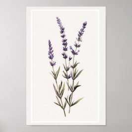 Póster Estrella de flores de lavanda de color agua minima
