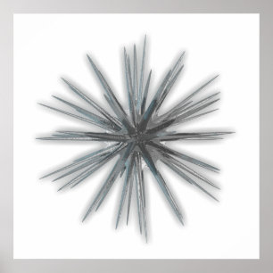 Póster estrella de hielo
