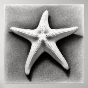 Póster Estrella de mar en blanco y negro