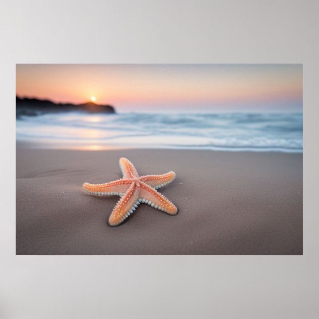 Póster Estrella de mar tendida en una playa (Frente)
