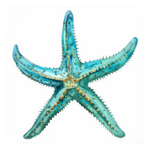Estrella de mar turquesa 24 x 24