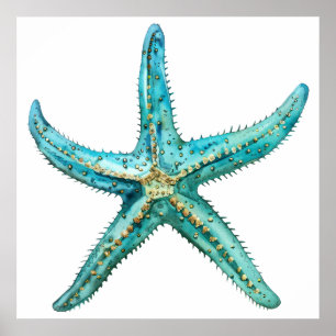 Póster Estrella de mar turquesa 24 x 24