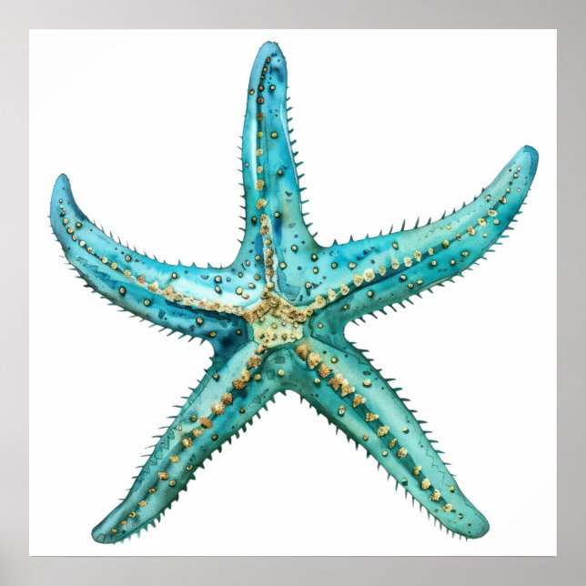 Póster Estrella de mar turquesa 24 x 24 (Frente)