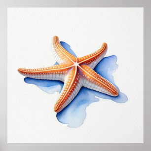 Póster Estrella de mar y silueta azul