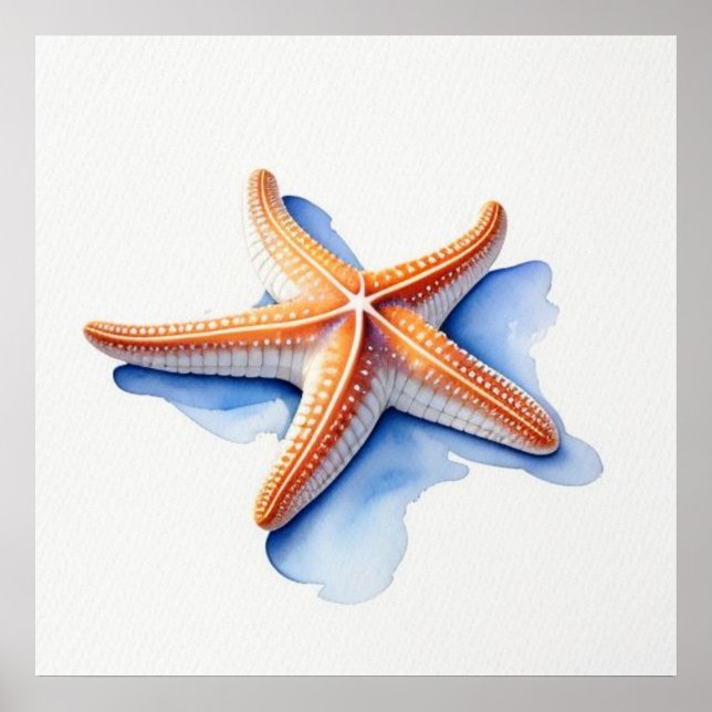 Póster Estrella de mar y silueta azul (Frente)