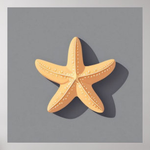 Póster Estrella de mar y su sombra