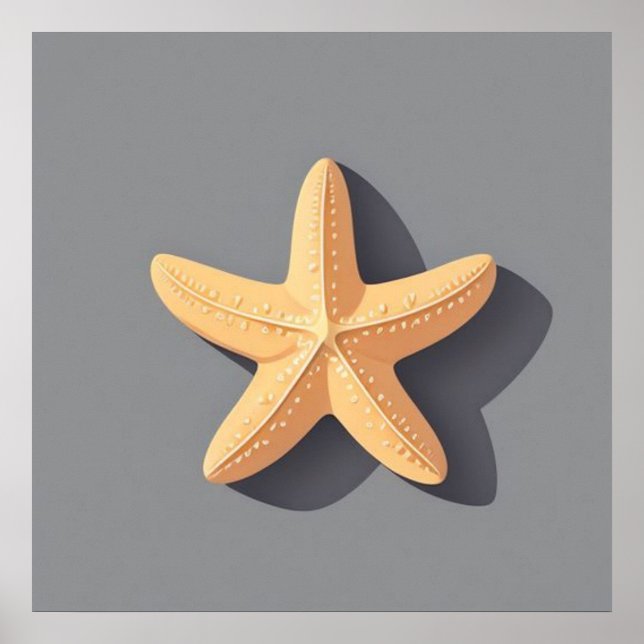 Póster Estrella de mar y su sombra (Frente)
