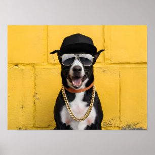 Póster Estrella de perro de hip hop en la cadena de moda