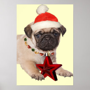 Póster Estrella de Pug A Navidades Imprimir