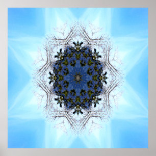 Póster Estrella del árbol.....