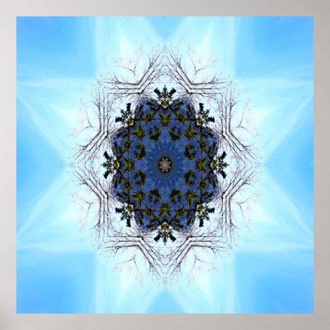 Póster Estrella del árbol..... (Frente)