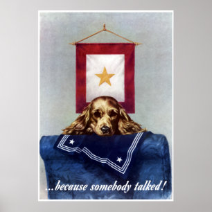 Póster Estrella del Oro — Porque Alguien Habló — Frontera