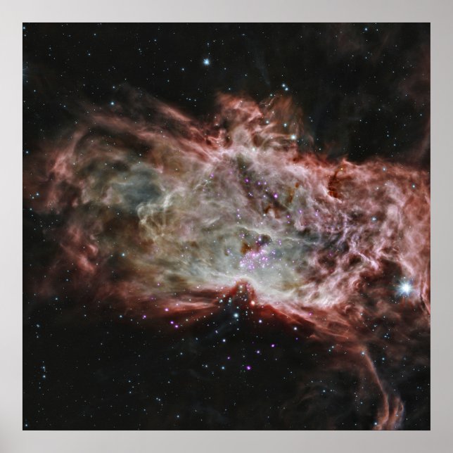 Póster Estrella En El Centro De La Nebulosa De La Llama. (Frente)